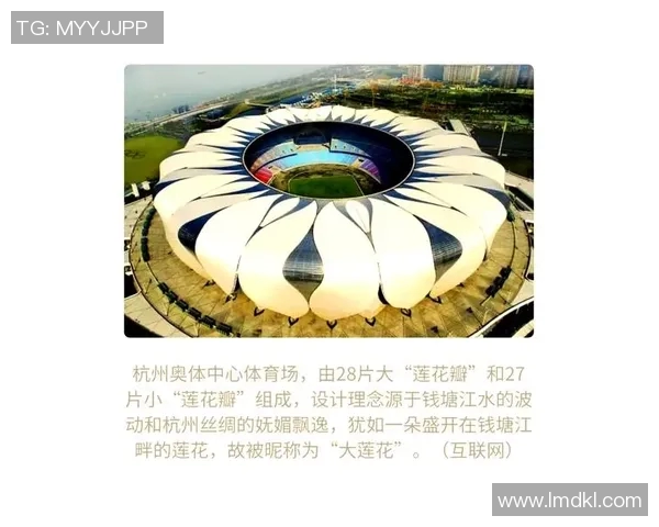 网球盛宴：深入探讨杭州网球队背后的实力与魅力