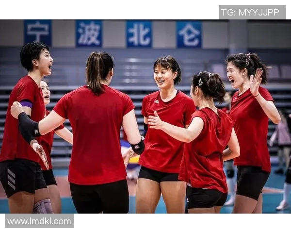 上海排球队在最新排球耐力排行榜中名列前茅引发热议