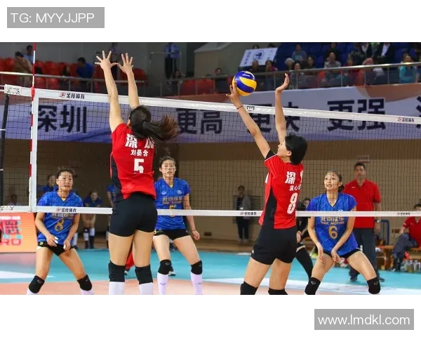 专访陈伟揭秘排球成功背后的秘诀与奋斗历程