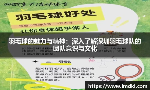 羽毛球的魅力与精神：深入了解深圳羽毛球队的团队意识与文化